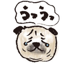 PUG's & Brussels sticker #11103852