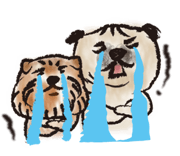 PUG's  & Brussels sticker #11103862