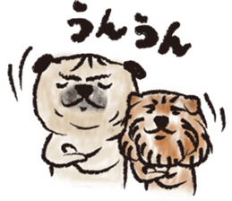 PUG's  & Brussels sticker #11103864