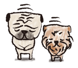 PUG's & Brussels sticker #11103867