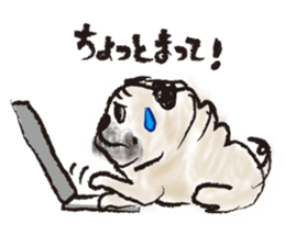 PUG's  & Brussels sticker #11103868