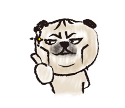 PUG's  & Brussels sticker #11103872