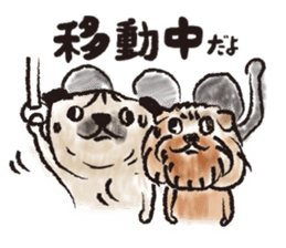 PUG's & Brussels sticker #11103873