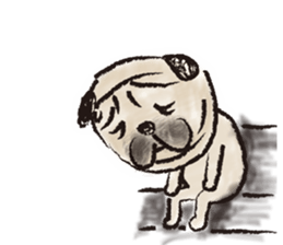 PUG's  & Brussels sticker #11103875