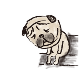 PUG's & Brussels sticker #11103875