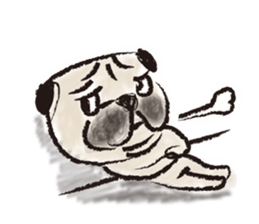 PUG's  & Brussels sticker #11103876