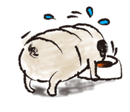 PUG's  & Brussels sticker #11103877