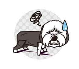 iinu - Old English Sheepdog sticker #11106423