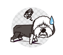 iinu - Old English Sheepdog sticker #11106423