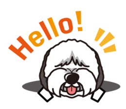 iinu - Old English Sheepdog sticker #11106436