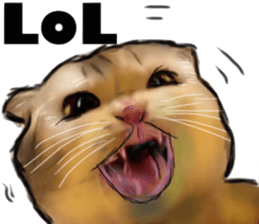 Cat's&Rabbits sticker #11107480