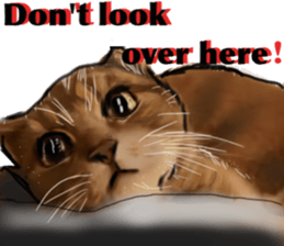 Cat's&Rabbits sticker #11107483