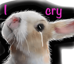 Cat's&Rabbits sticker #11107485