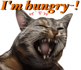 Cat's&Rabbits sticker #11107488