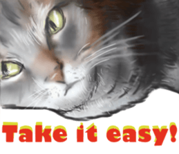 Cat's&Rabbits sticker #11107489