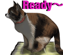 Cat's&Rabbits sticker #11107490