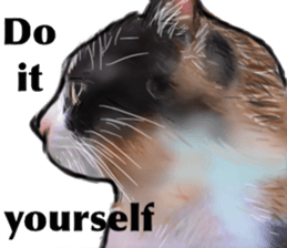 Cat's&Rabbits sticker #11107491