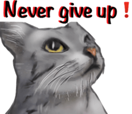 Cat's&Rabbits sticker #11107492