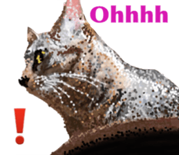 Cat's&Rabbits sticker #11107493