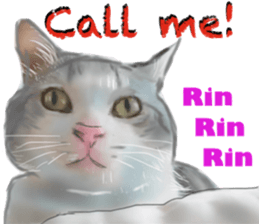 Cat's&Rabbits sticker #11107497