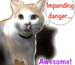 Cat's&Rabbits sticker #11107498