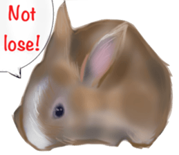 Cat's&Rabbits sticker #11107500