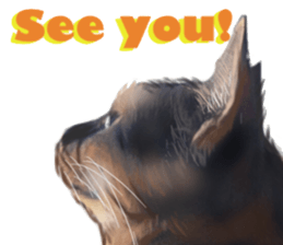 Cat's&Rabbits sticker #11107501