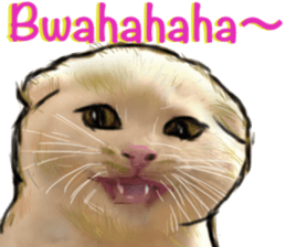 Cat's&Rabbits sticker #11107502