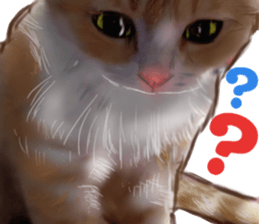 Cat's&Rabbits sticker #11107503