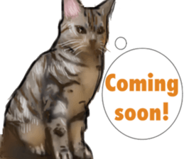 Cat's&Rabbits sticker #11107504