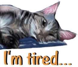 Cat's&Rabbits sticker #11107507