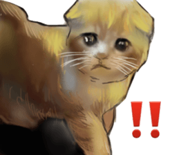 Cat's&Rabbits sticker #11107509