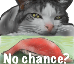 Cat's&Rabbits sticker #11107512