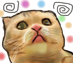 Cat's&Rabbits sticker #11107514