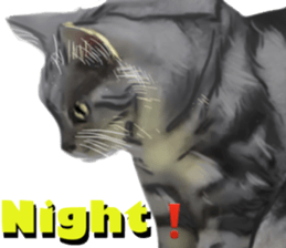 Cat's&Rabbits sticker #11107518