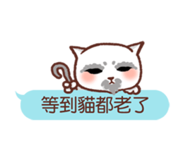 Wait until the cat. sticker #11114154