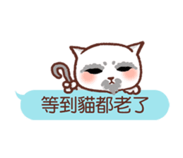 Wait until the cat. sticker #11114154