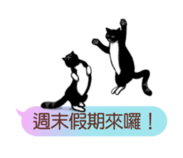 Wait until the cat. sticker #11114183