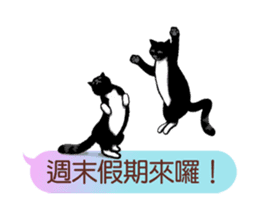 Wait until the cat. sticker #11114183