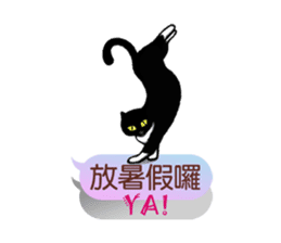 Wait until the cat. sticker #11114186