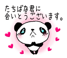 Sticker to send to Tachibana sticker #11114482