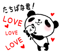 Sticker to send to Tachibana sticker #11114489