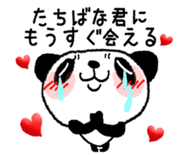 Sticker to send to Tachibana sticker #11114510