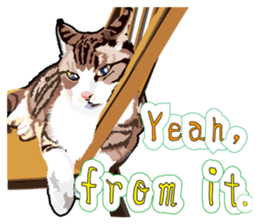 Cat will sticker #11116672