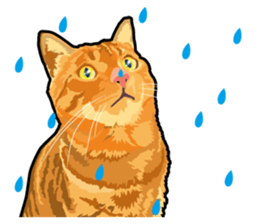 Cat will sticker #11116675