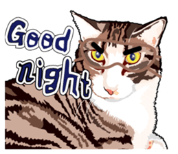 Cat will sticker #11116676