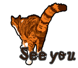 Cat will sticker #11116677