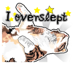 Cat will sticker #11116678