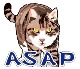 Cat will sticker #11116679