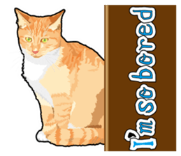 Cat will sticker #11116684